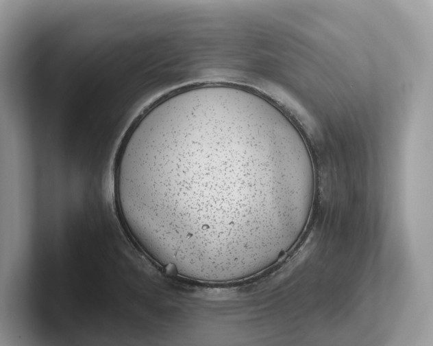 X0000101431280200807211142