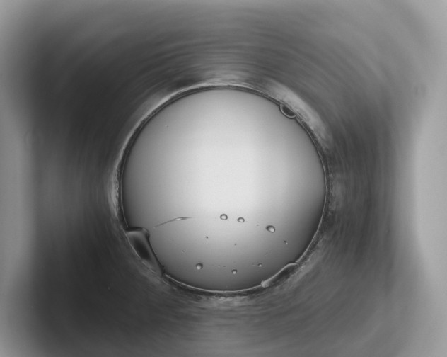 X0000101431284200807211142