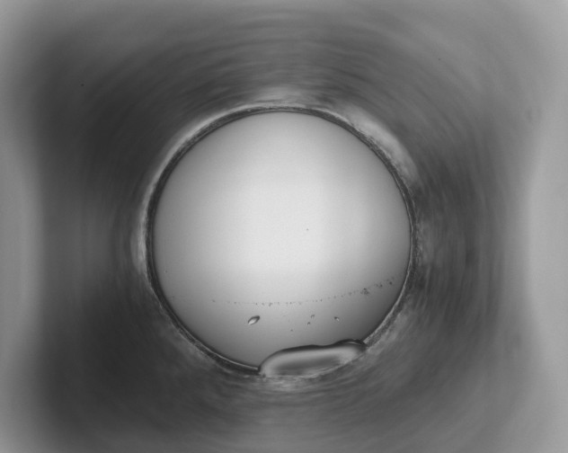 X0000101431288200807211142