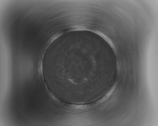 X0000101431289200807211142