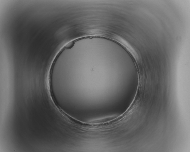 X0000101431291200807211142