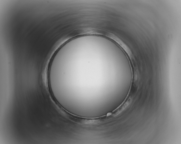 X0000101431293200807211142