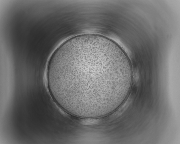 X0000101431294200807211142