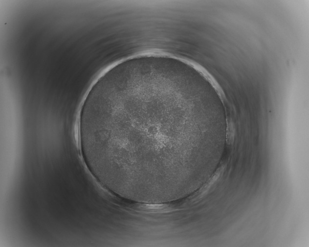 X0000101431295200807211142