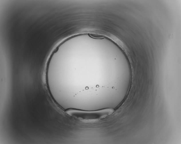 X0000101431296200807211142