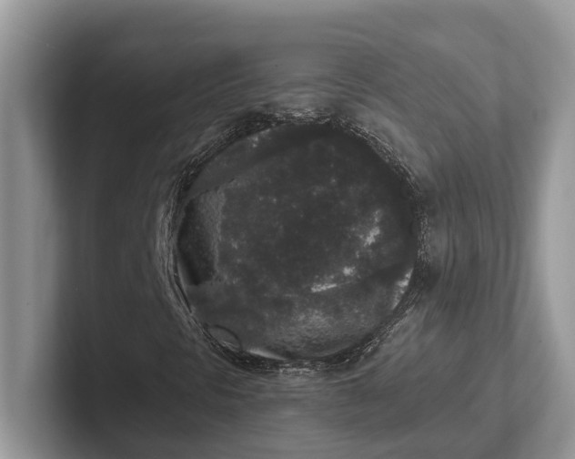 X0000101431297200807211141