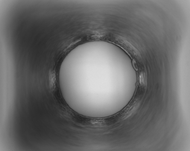 X0000101431299200807211141