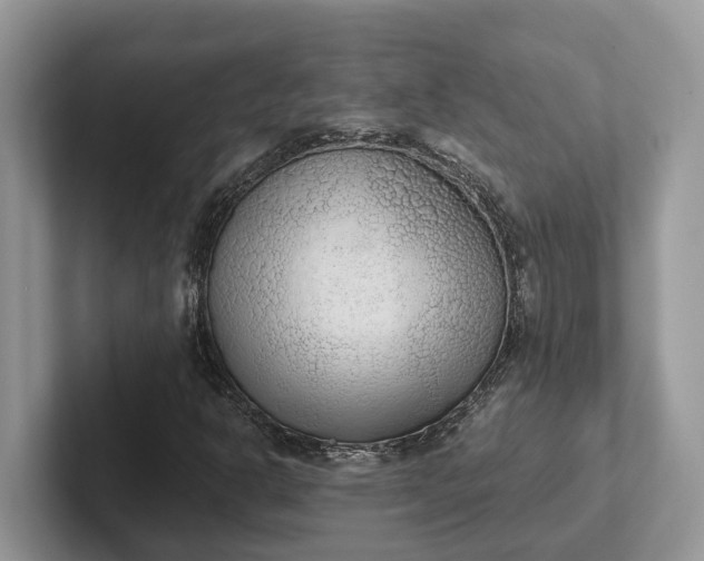 X0000101431302200807211141