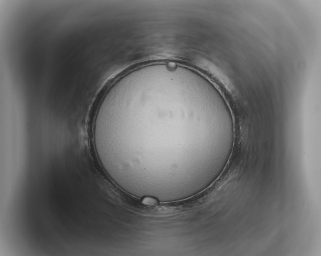 X0000101431308200807211141