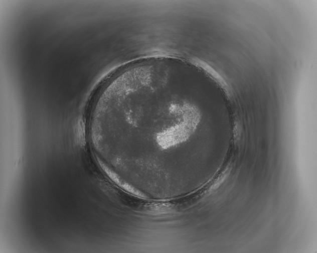 X0000101431310200807211142