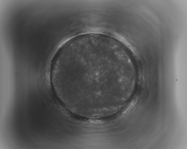 X0000101431312200807211142