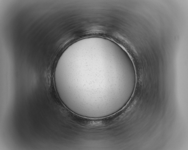 X0000101431313200807211142