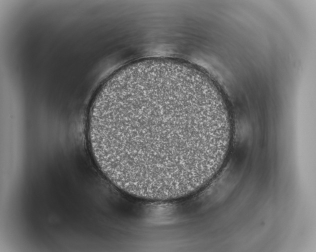 X0000101431314200807211142