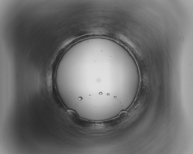 X0000101431315200807211142