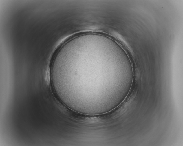 X0000101431320200807211142