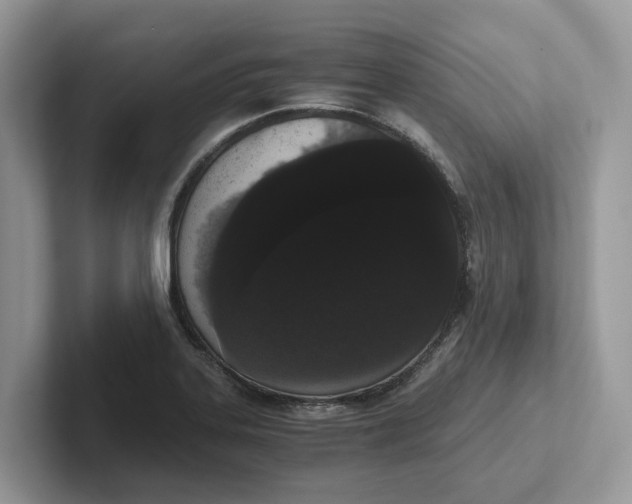 X0000101431323200807211142