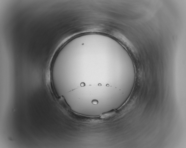 X0000101431324200807211142