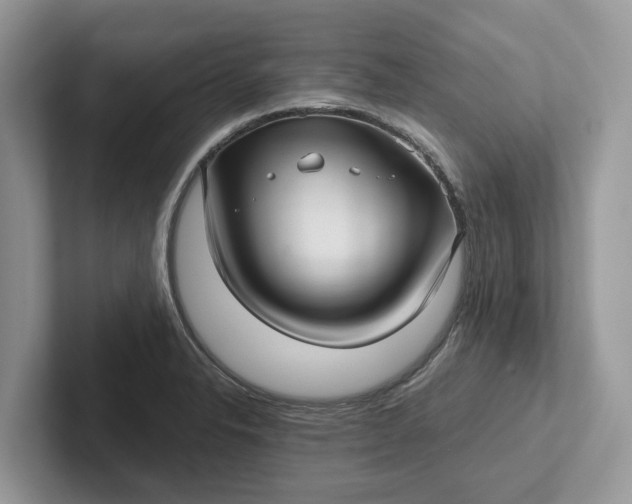 X0000101431326200807211142