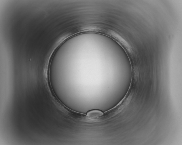 X0000101431330200807211142