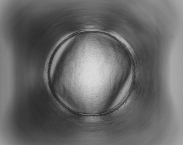 X0000101431333200807211142