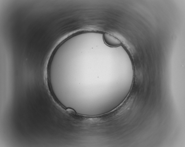 X0000101431335200807211142