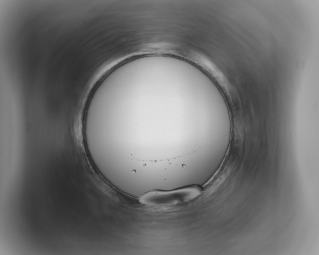 X0000101431336200807211142