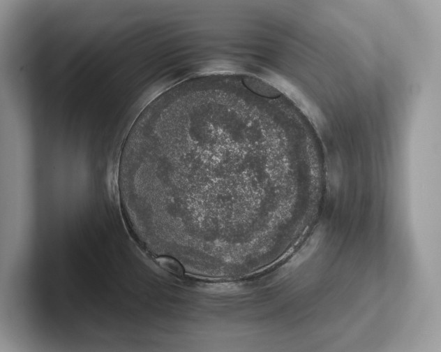 X0000101431337200807211142