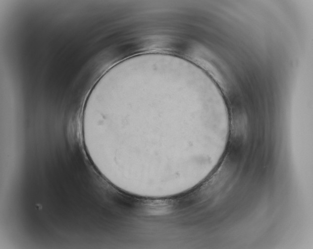 X0000101431338200807211142