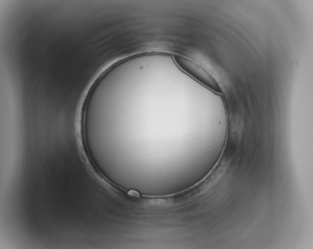 X0000101431339200807211142