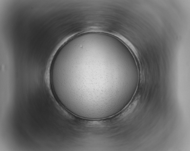 X0000101431341200807211142