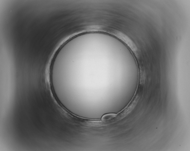 X0000101431342200807211142