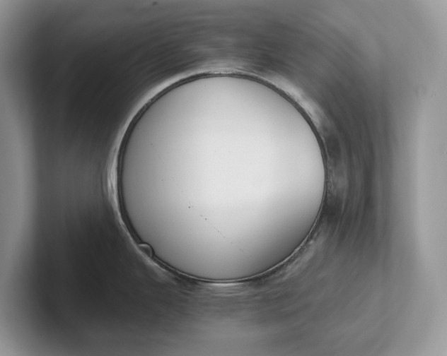 X0000101431343200807211142