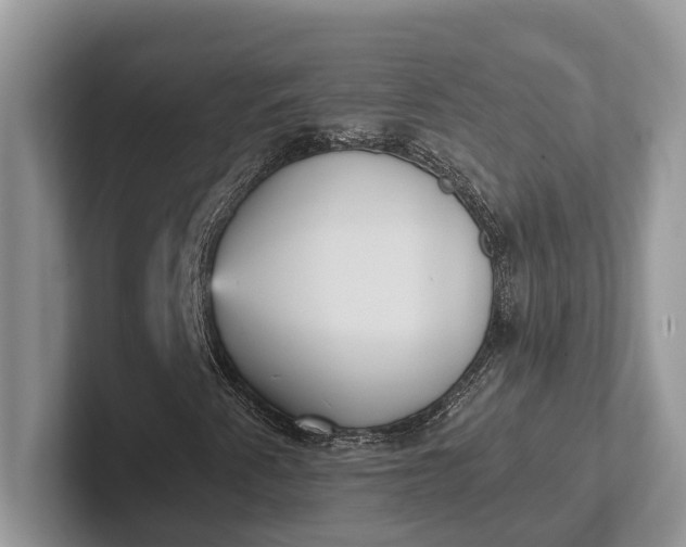 X0000101431345200807211141