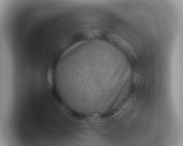 X0000101431346200807211141