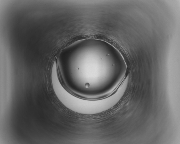 X0000101431348200807211141