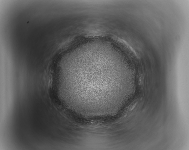 X0000101431350200807211141