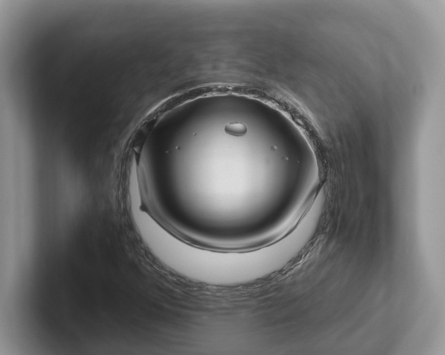 X0000101431352200807211141