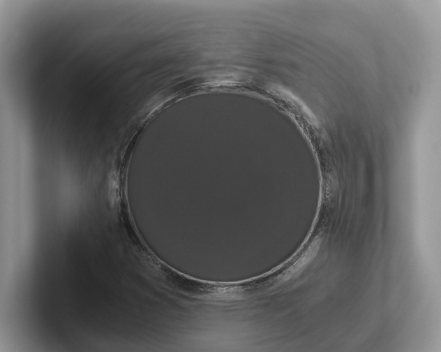 X0000101431353200807211141