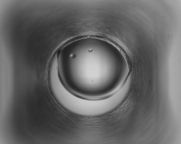 X0000101431356200807211141