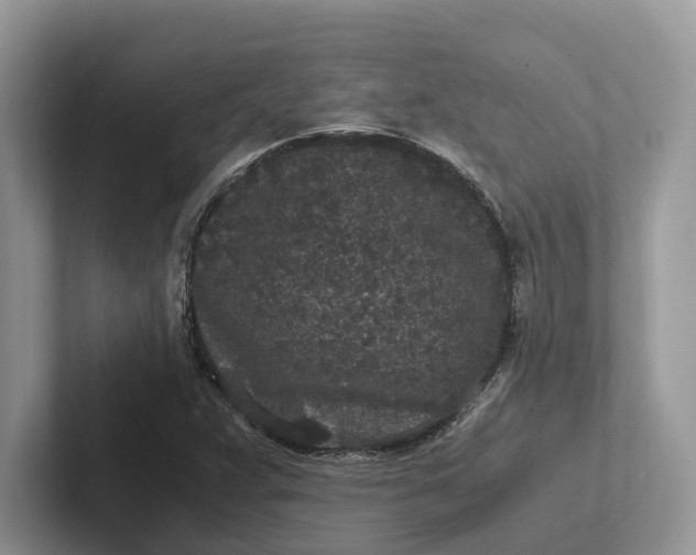 X0000101431359200807211141