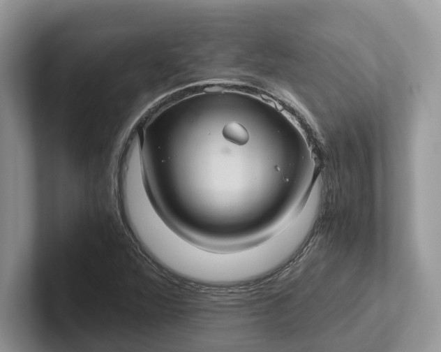 X0000101431360200807211141