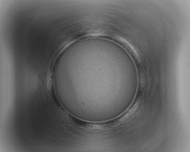 X0000101431361200807211141