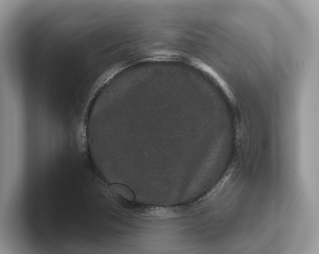 X0000101431362200807211141