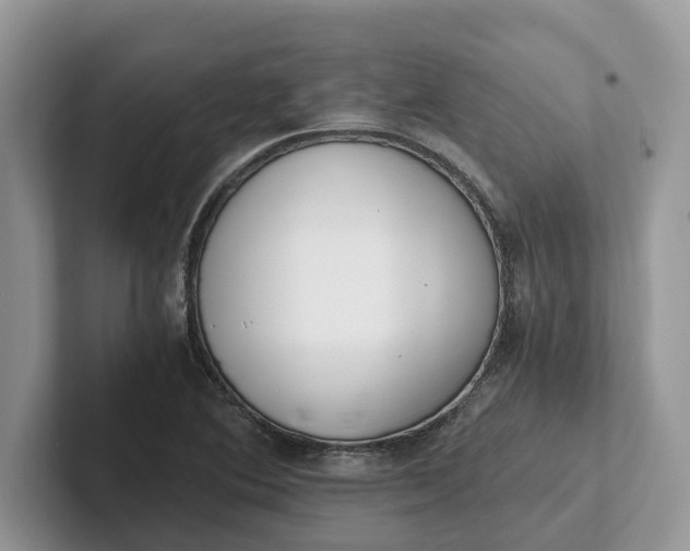 X0000101431364200807211141