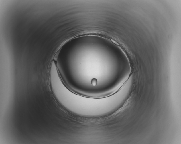 X0000101431369200807211141