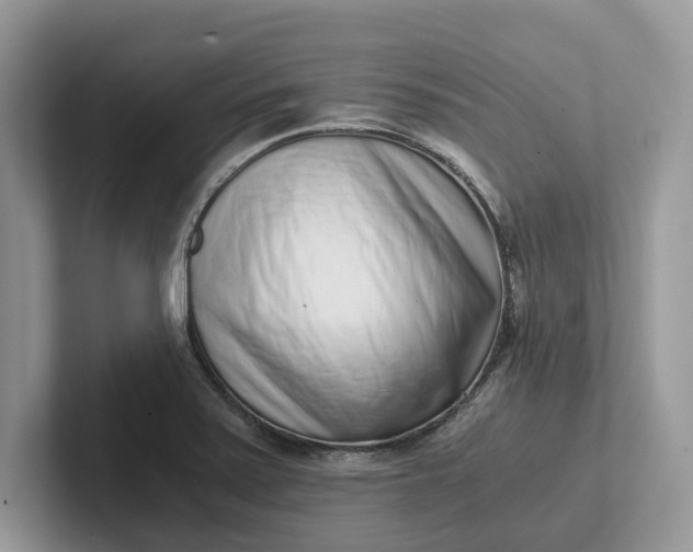 X0000101431371200807211141