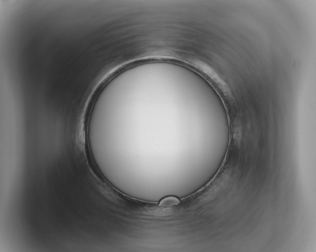 X0000101431372200807211141