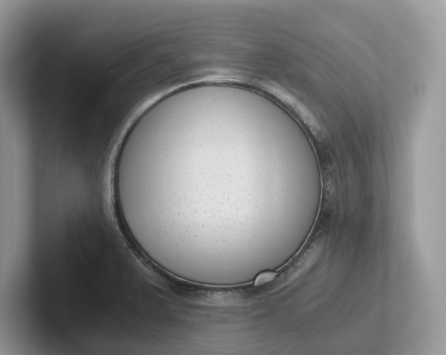 X0000101431375200807211141