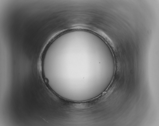 X0000101431376200807211141