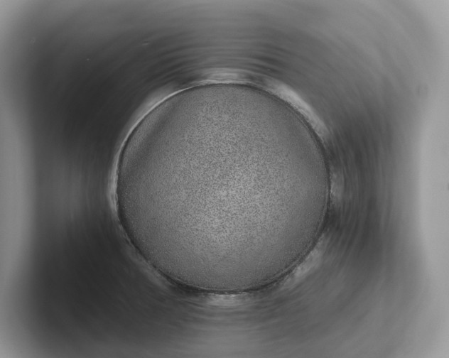 X0000101431378200807211141